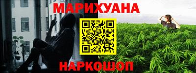 индика Пушкино