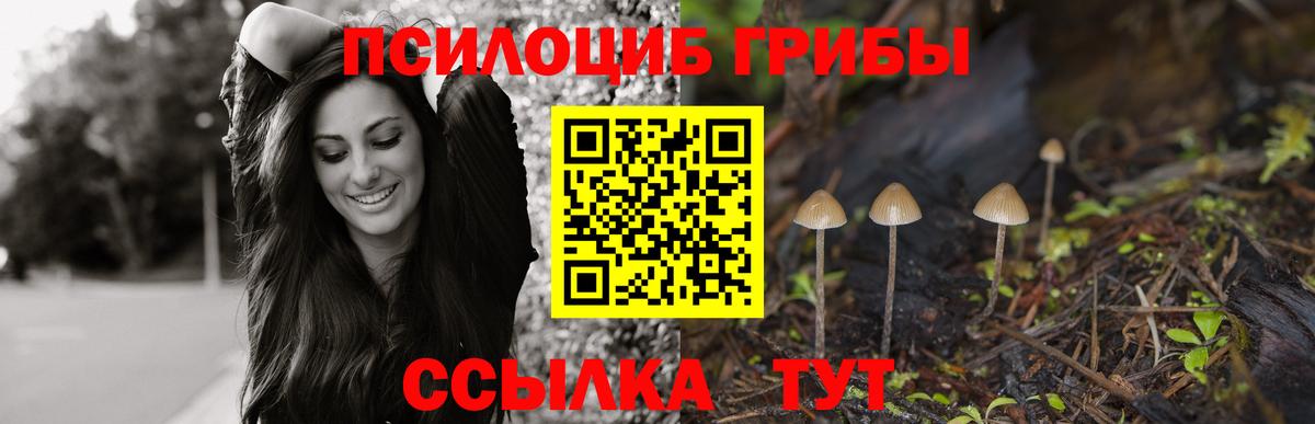 COCAIN Сертолово